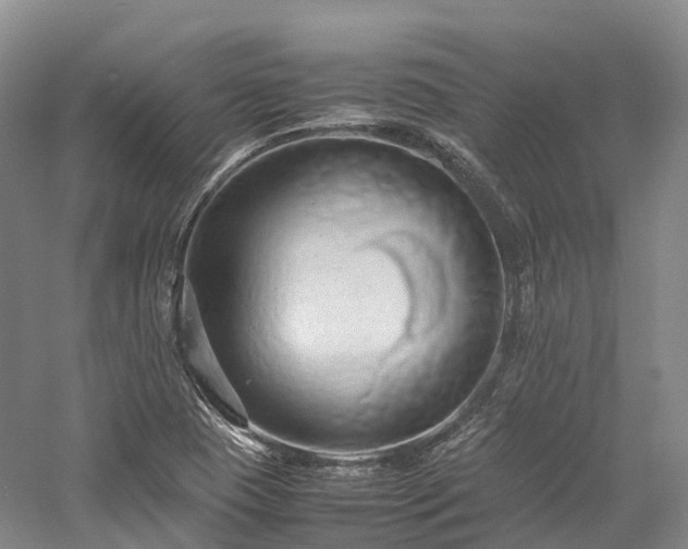 X0000058131409200509231106