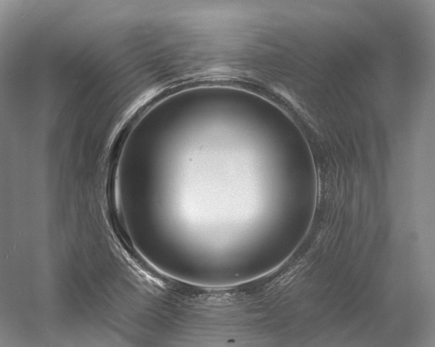 X0000058131410200509231106