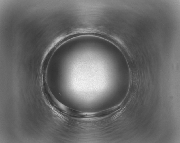 X0000058131414200509231106