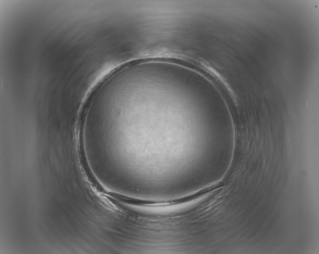 X0000058131416200509231107