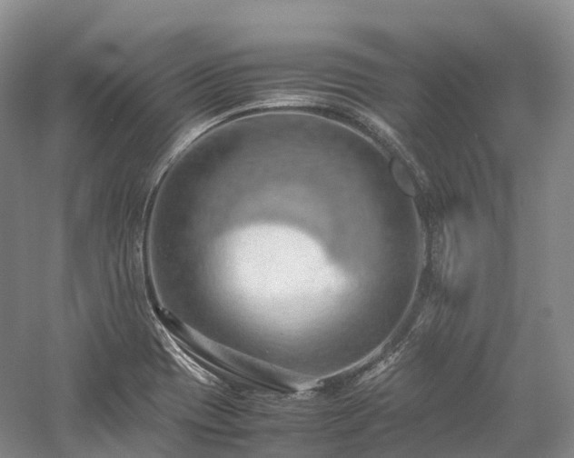 X0000058131417200509231107