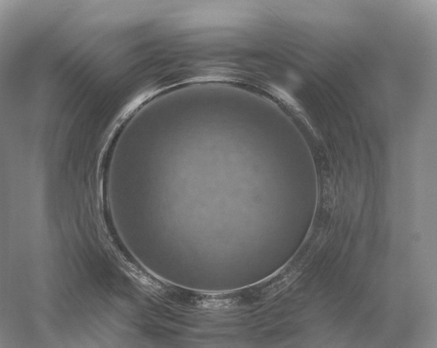X0000058131419200509231107