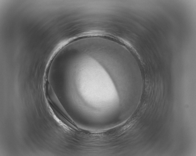 X0000058131421200509231107