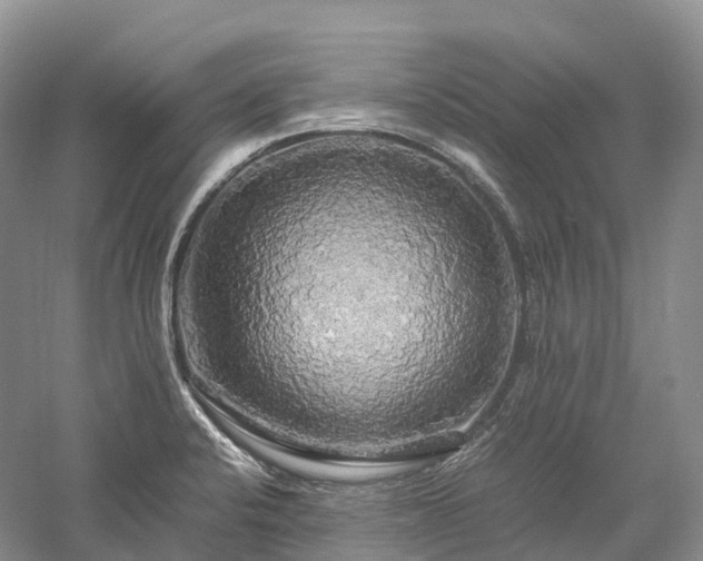X0000058131424200509231107