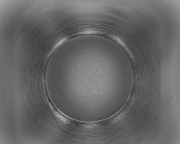 X0000058131425200509231107