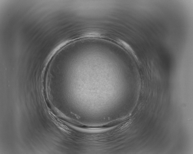 X0000058131435200509231107
