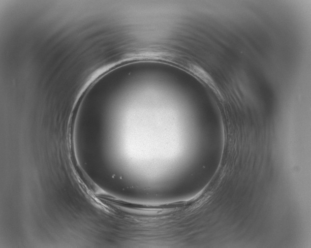 X0000058131436200509231107