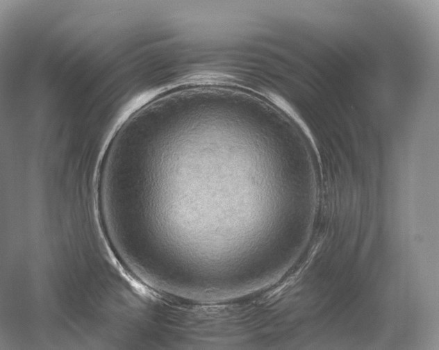 X0000058131437200509231107