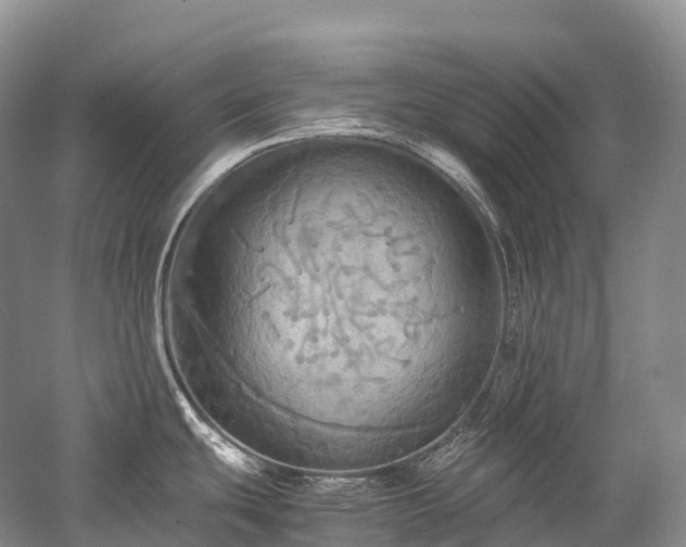 X0000058131439200509231107