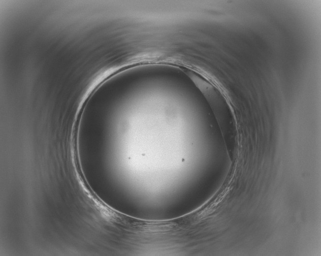 X0000058131440200509231107