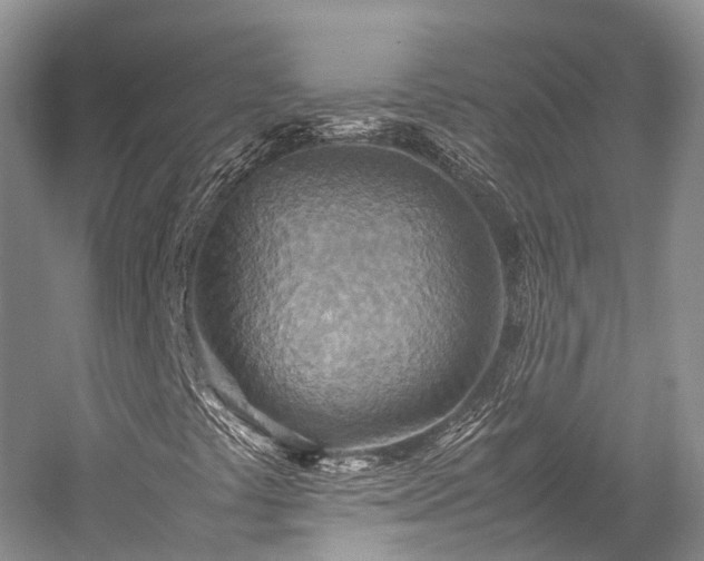 X0000058131441200509231106