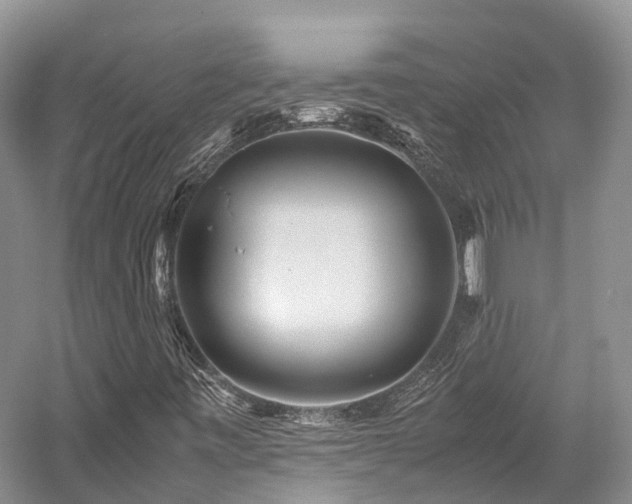X0000058131443200509231106