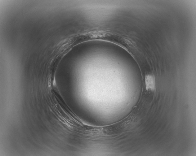 X0000058131444200509231106