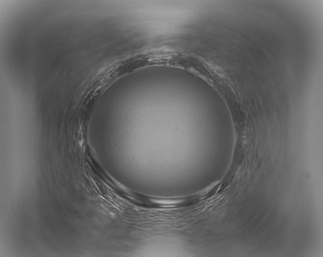 X0000058131445200509231106