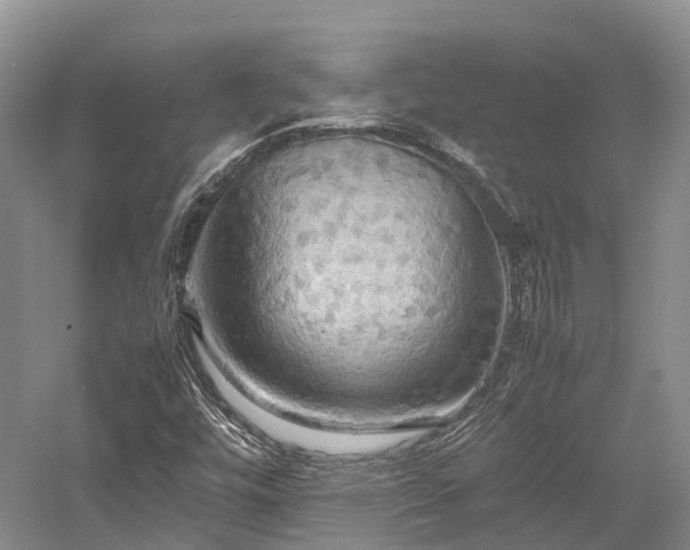 X0000058131448200509231106