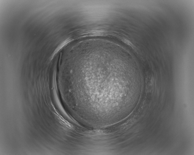 X0000058131450200509231106