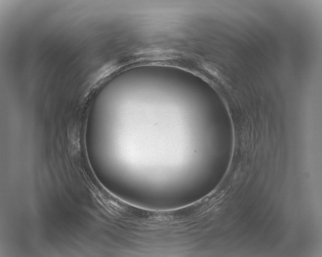 X0000058131451200509231106