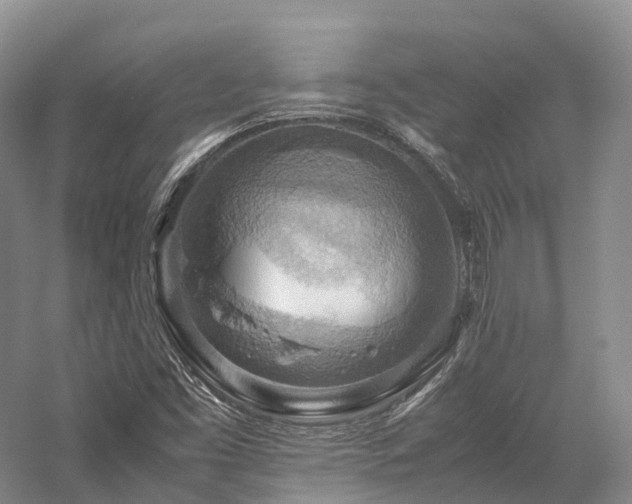 X0000058131453200509231106