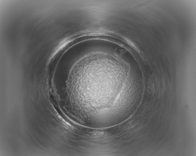 X0000058131456200509231106