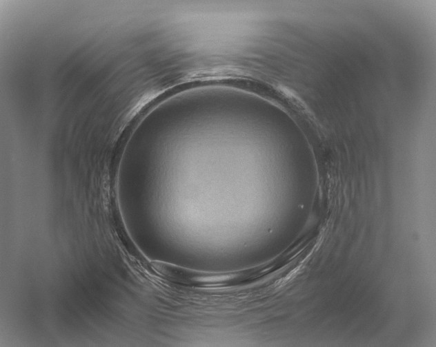 X0000058131457200509231106