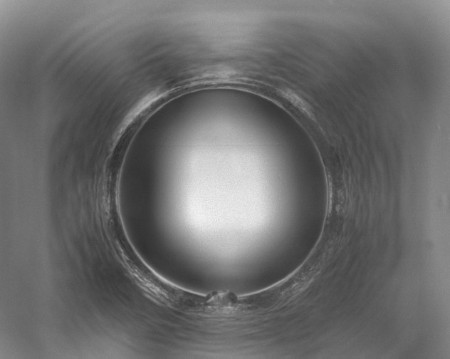 X0000058131458200509231106