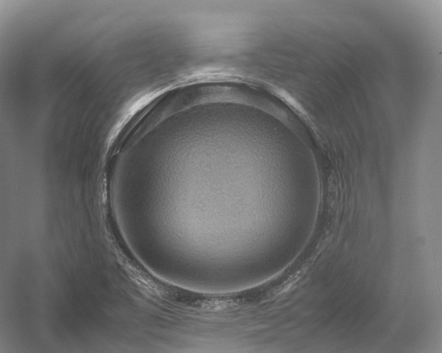 X0000058131461200509231106