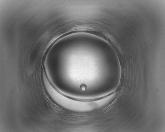 X0000058131465200509231106