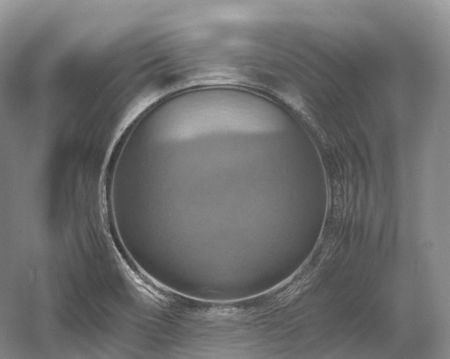X0000058131466200509231106