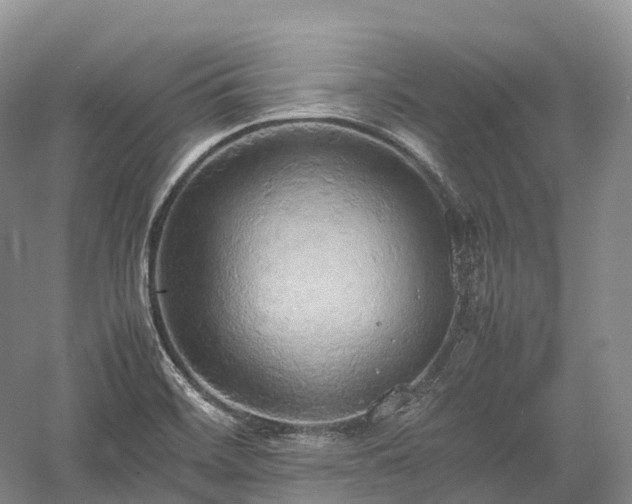 X0000058131468200509231106