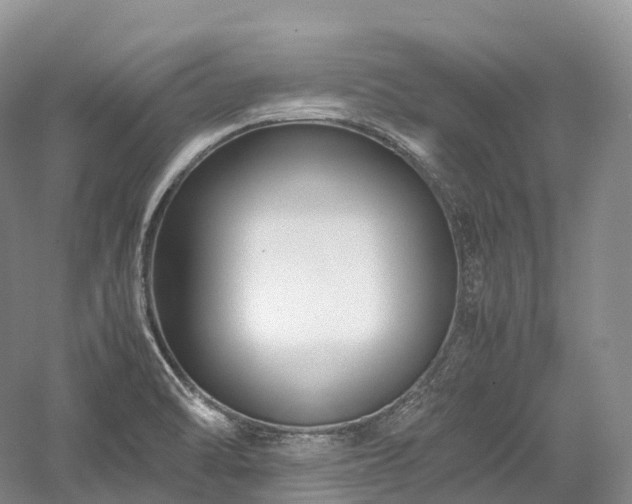 X0000058131470200509231106