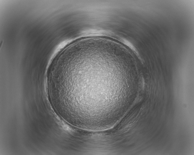 X0000058131472200509231106