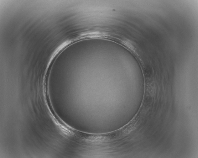 X0000058131474200509231106