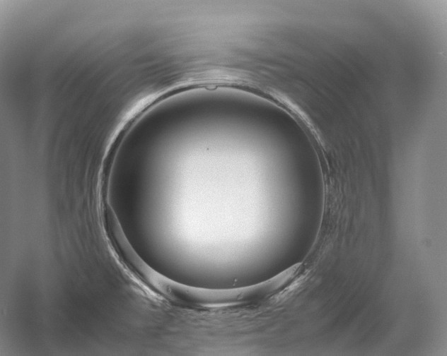X0000058131477200509231105
