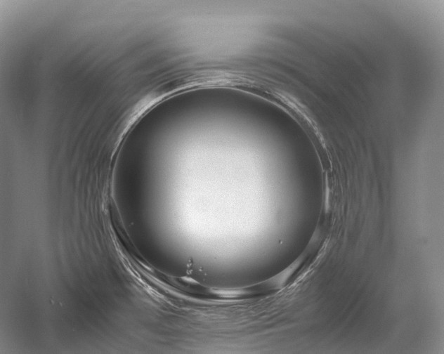 X0000058131481200509231105