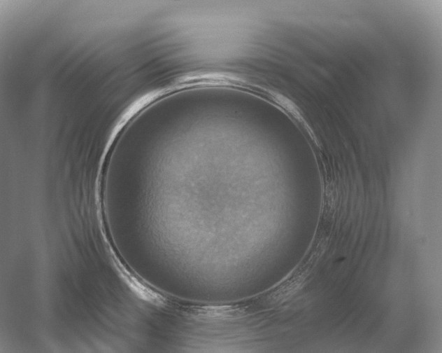 X0000058131482200509231105
