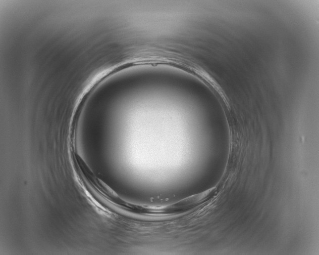 X0000058131485200509231105
