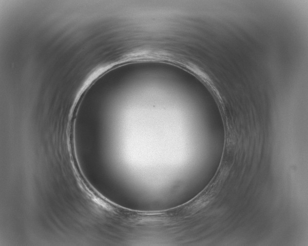 X0000058131486200509231105