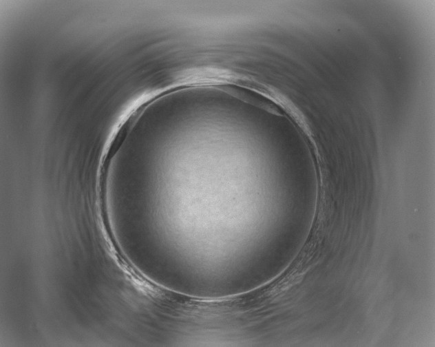 X0000058131488200509231105