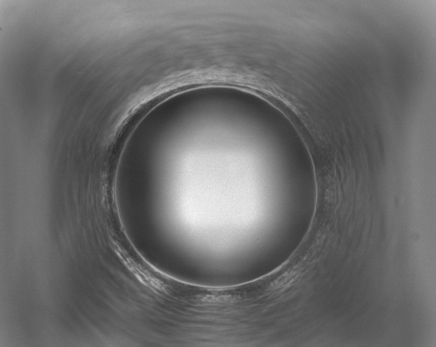 X0000058131499200509231105