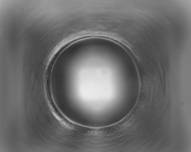 X0000058131511200509231105