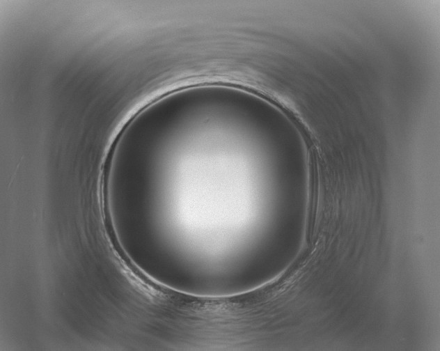 X0000058131516200509231105