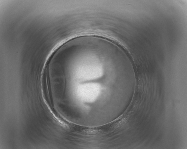 X0000058131517200509231105