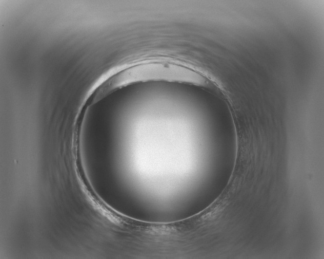 X0000058131526200509231105