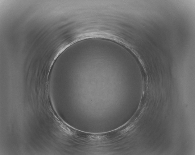 X0000058131529200509231105