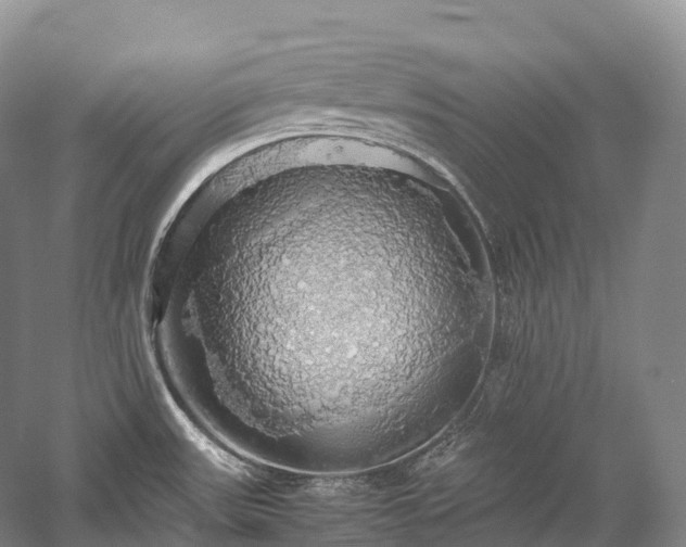 X0000058131531200509231105