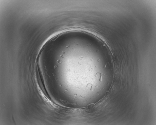 X0000058131534200509231105