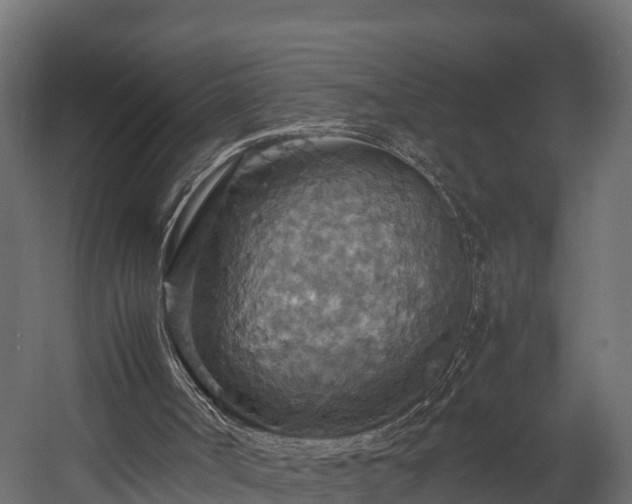 X0000058130002200509261313