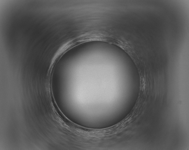 X0000058130004200509261312