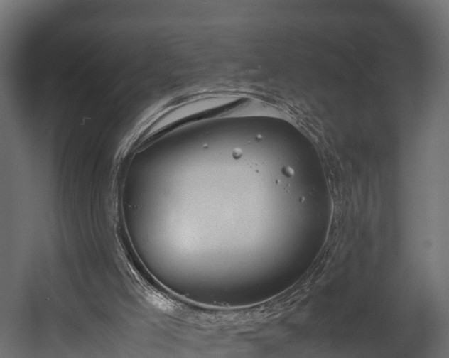 X0000058130005200509261312