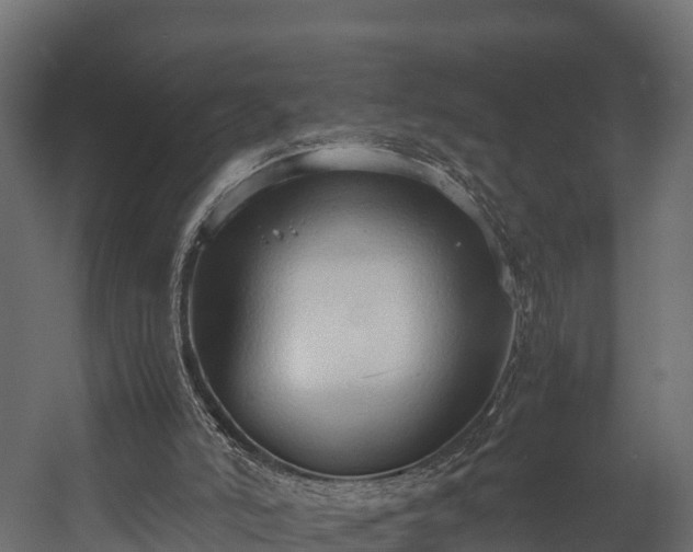 X0000058130006200509261312